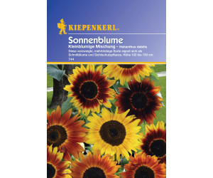 Kiepenkerl Sonnenblume "Kleinblumige Gelbtöne"