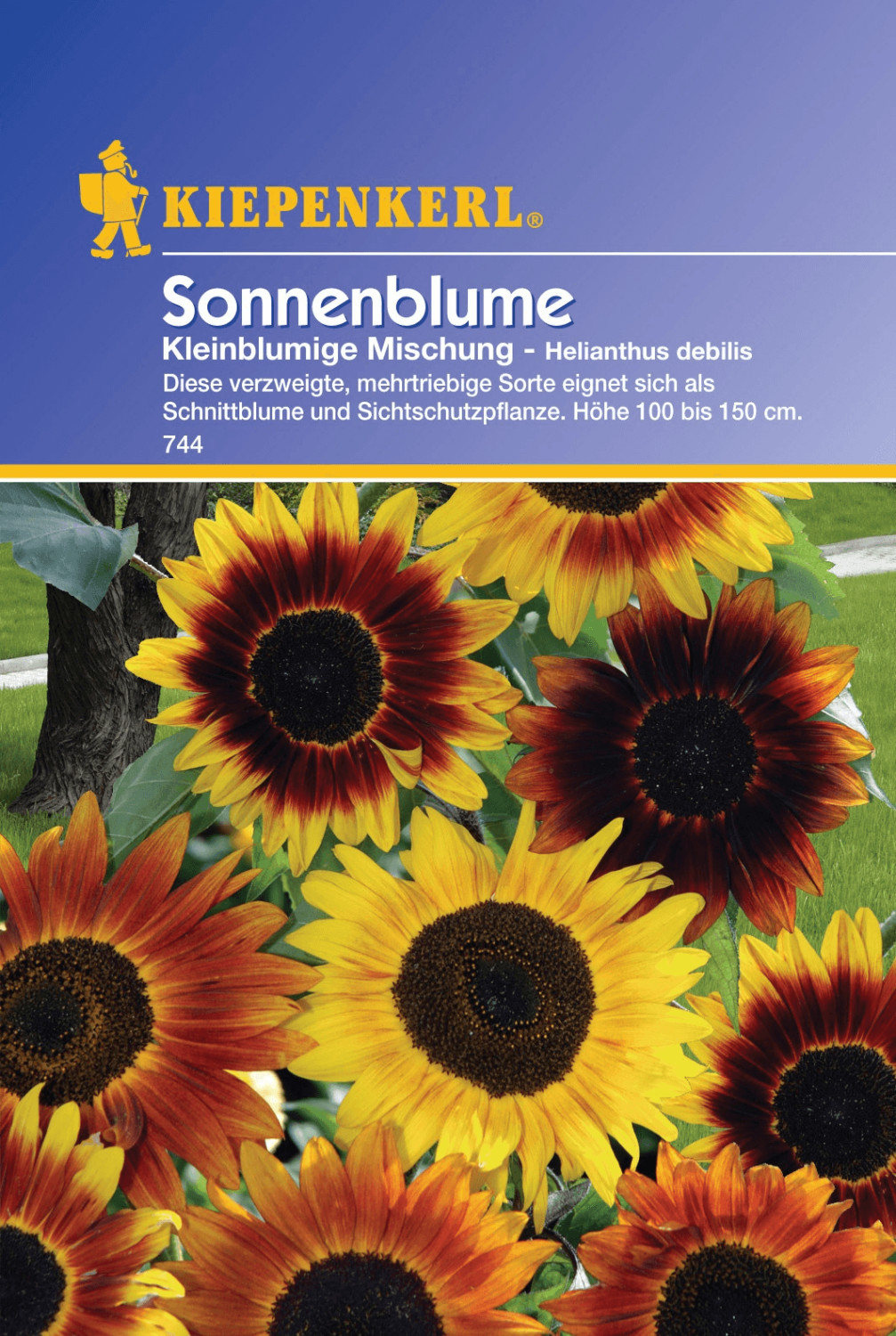 Kiepenkerl Kiepenkerl Sonnenblume "Kleinblumige Gelbtöne" - Product image 1 of 1