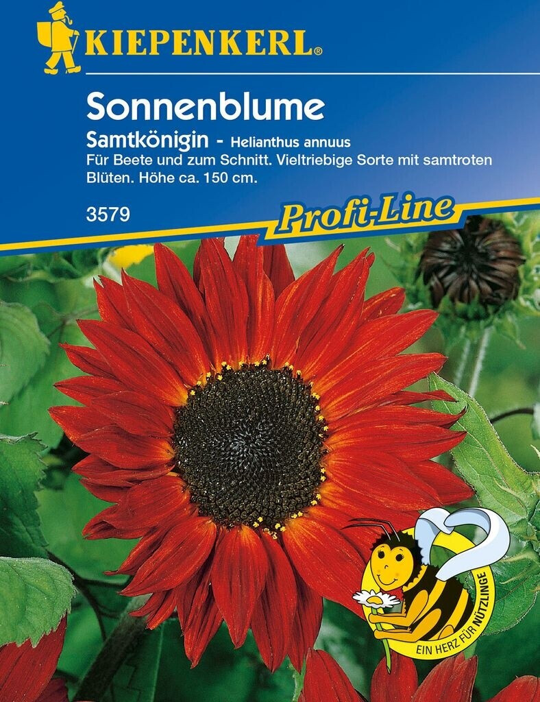 Kiepenkerl Kiepenkerl Sonnenblume "Samtkönigin" - Product image 1 of 3