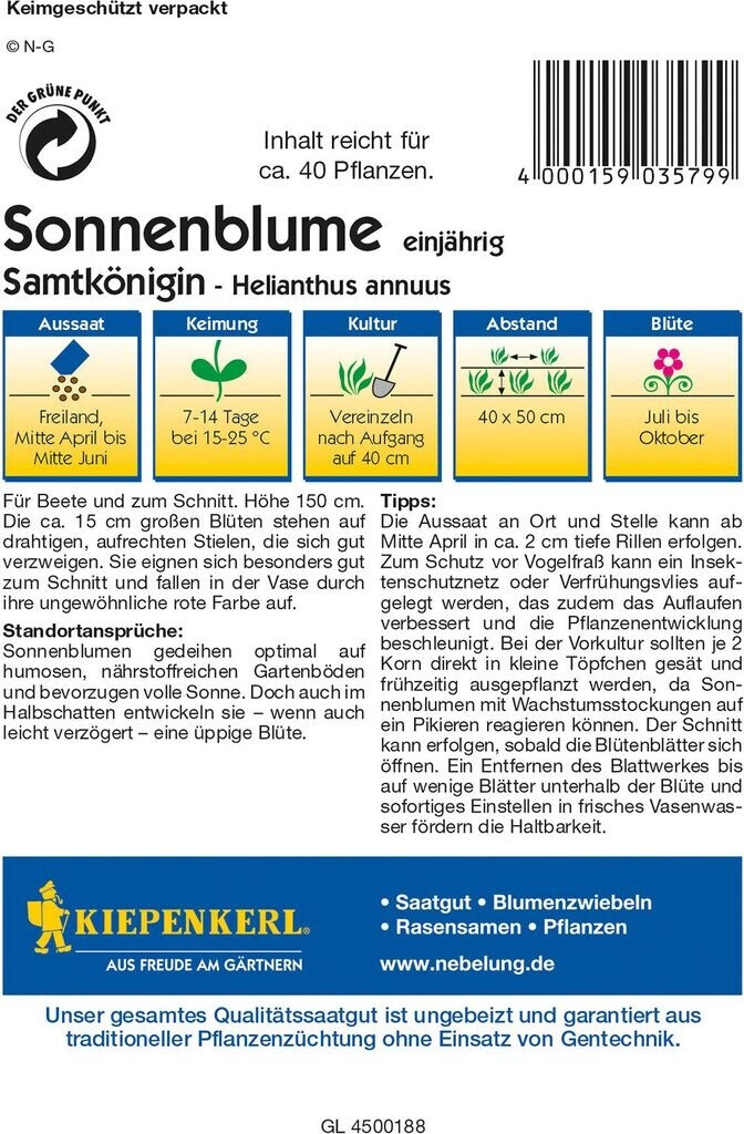 Kiepenkerl Kiepenkerl Sonnenblume "Samtkönigin" - side view