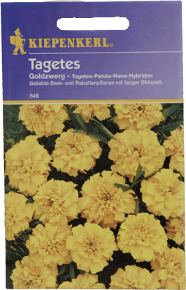 Kiepenkerl Kiepenkerl Tagetes "Goldzwerg" - Product image 1 of 1