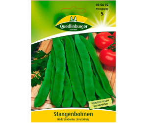 Sommer Ackerbohnen 25 kg Feldbohne Saubohne Säubohne Schweinsbohne Favabohne 