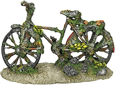 Nobby 28498