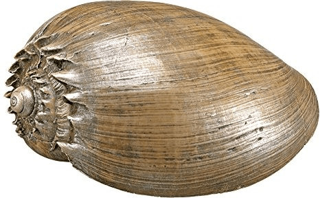 Nobby 28505