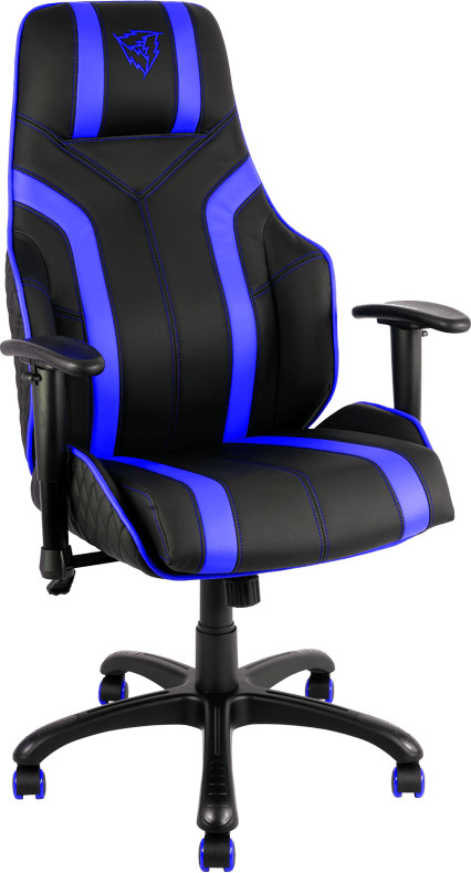 ThunderX3 TGC20 noir bleu