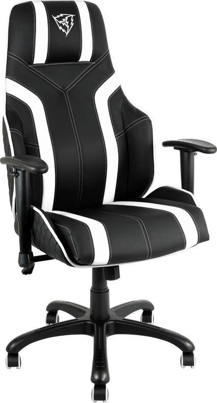 ThunderX3 TGC20 noir blanc