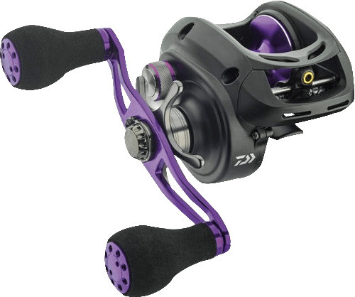 Daiwa Prorex XR Baitcast 300R
