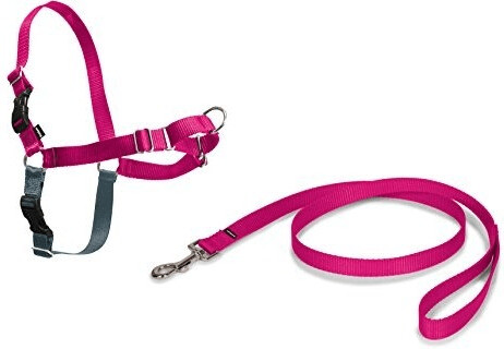 Petsafe Harnais Easy Walk M