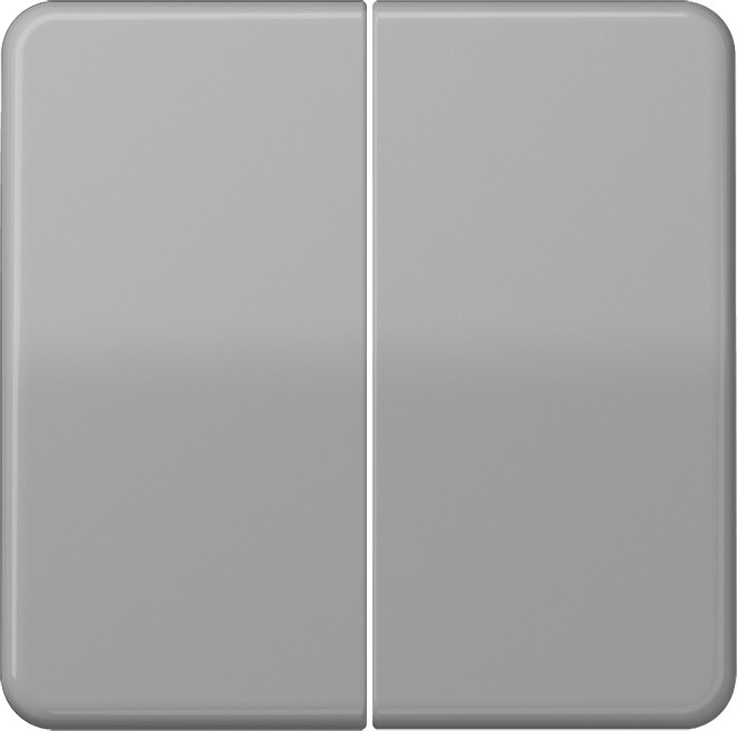 Jung CD595GR