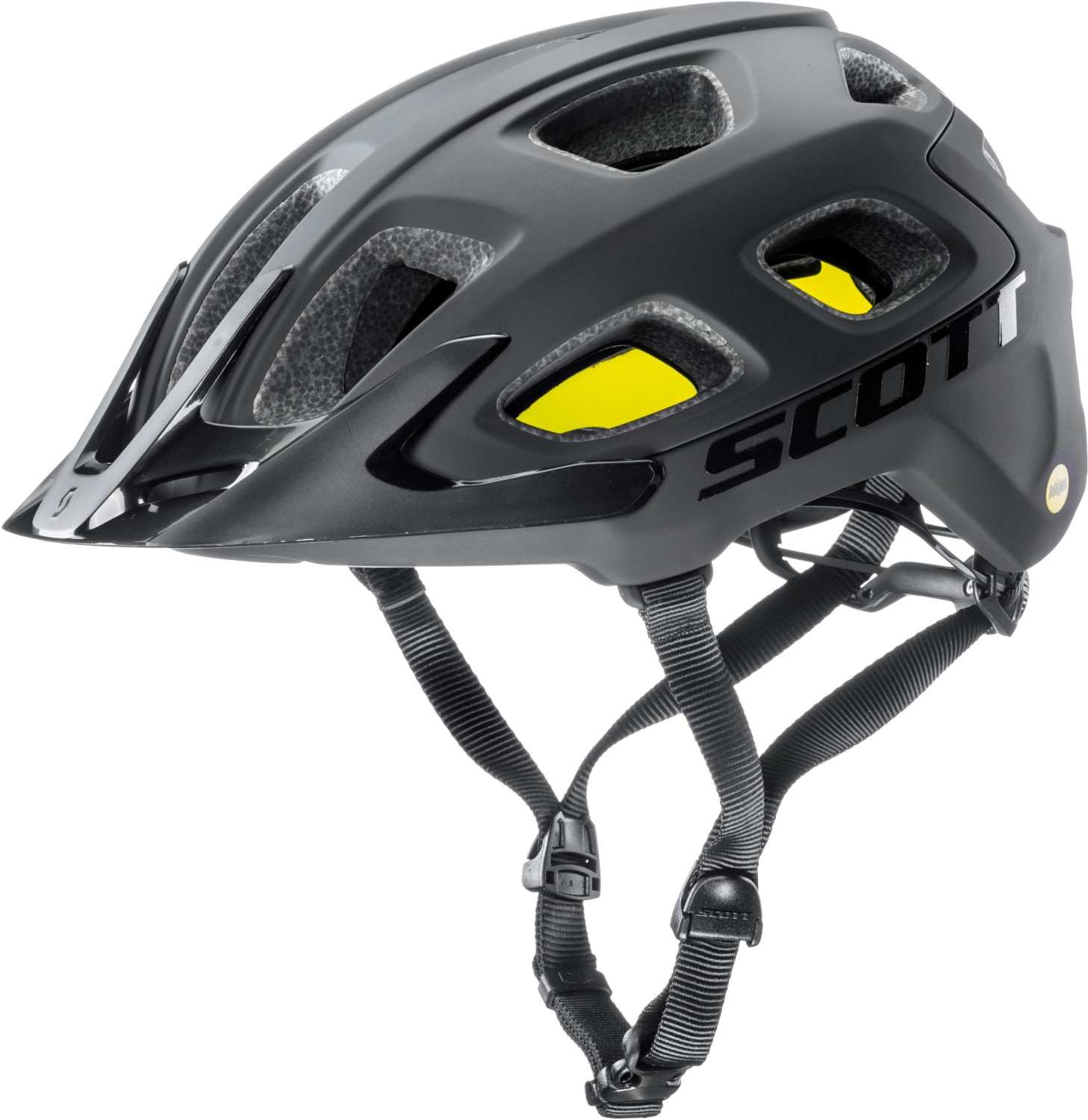 vivo scott 2