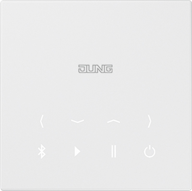 Jung Series A Bluetooth Connection Display (BTC LS-DISP)