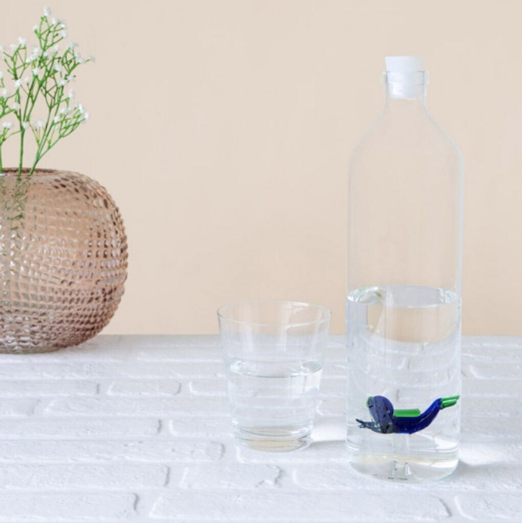 Balvi Bouteille en verre plongeur