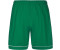 Adidas Squadra 17 Shorts green