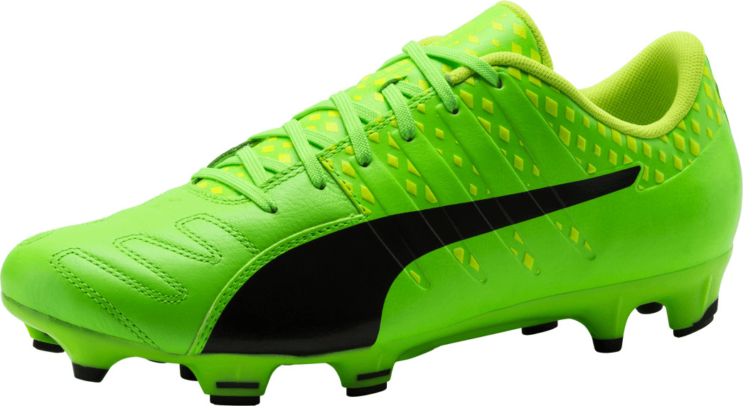 Puma evoPOWER Vigor 3 Leather FG