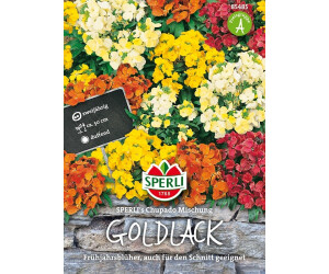 Sperli Goldlack Chupado Mischung