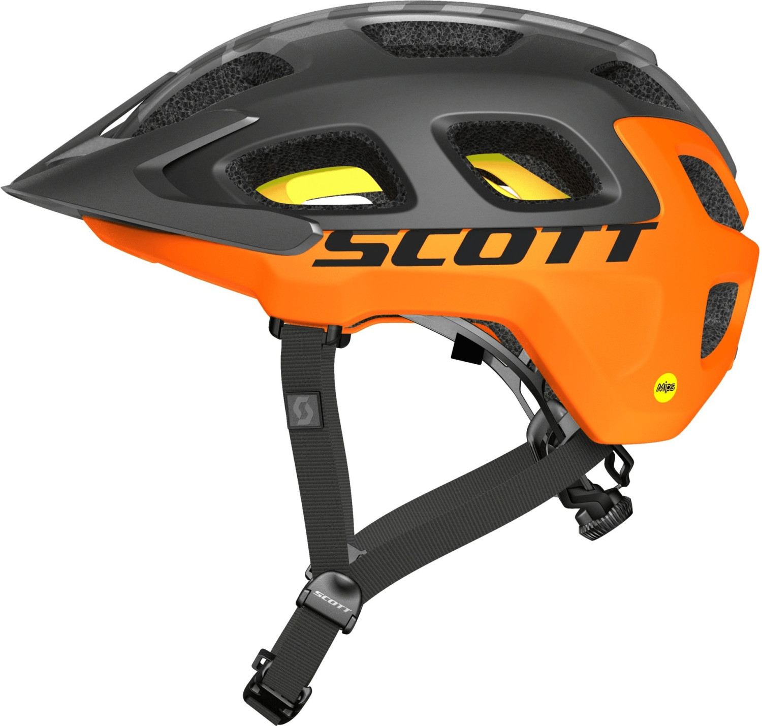 vivo scott 2