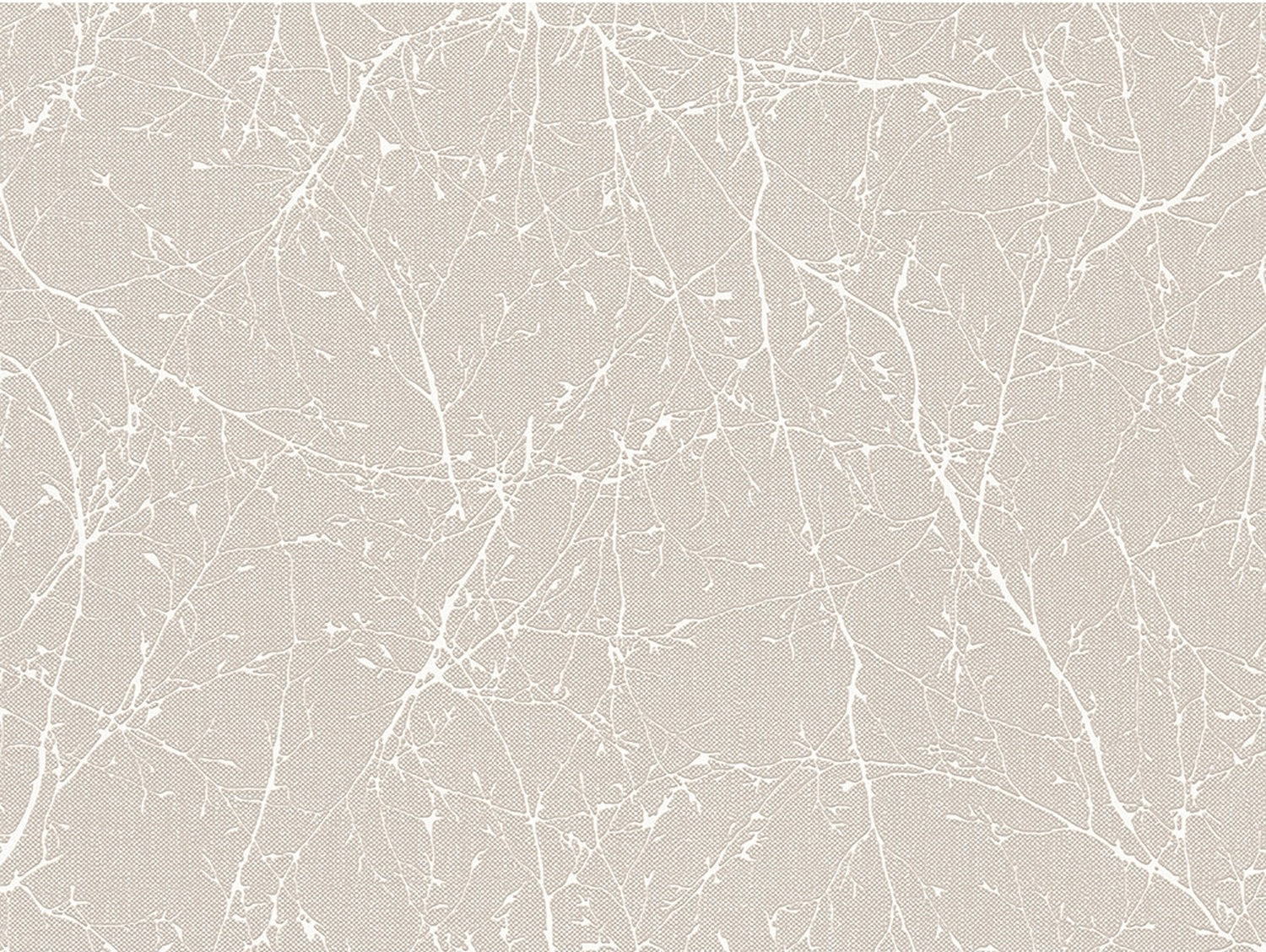 A.S. Creation 5074