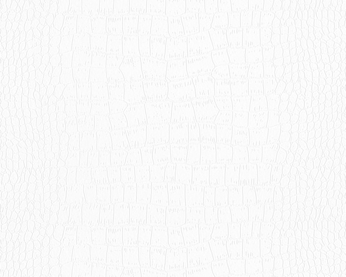 Architects Paper 950512