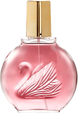 Gloria Vanderbilt Minuit New a York Eau de Parfum (100 ml)