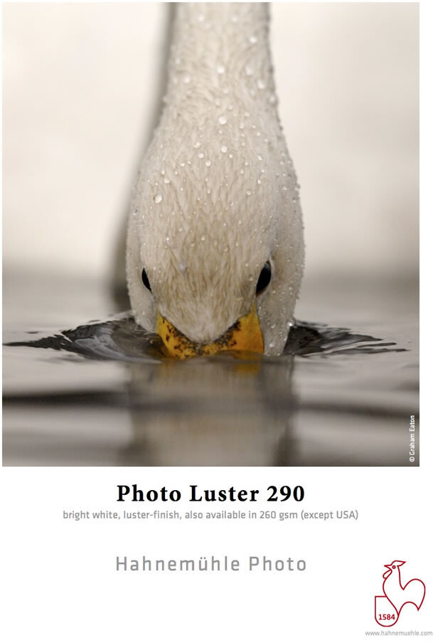 Hahnemühle Photo Luster 290g/qm 44 x 30m 1 roll (10643150)