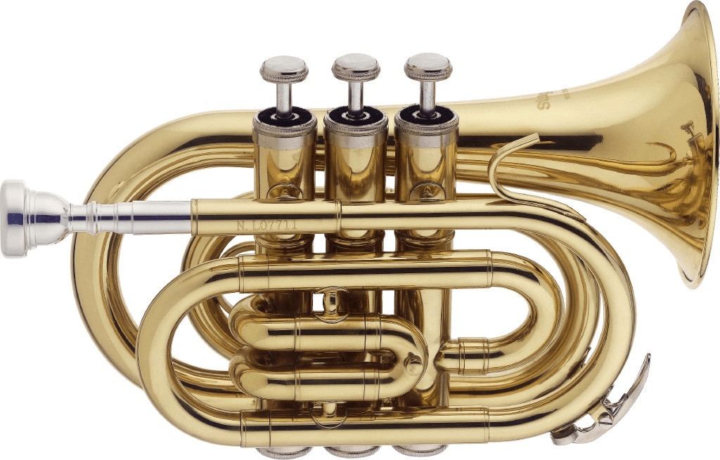 Stagg WS-TR245S