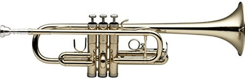 Stagg WS-TR255S