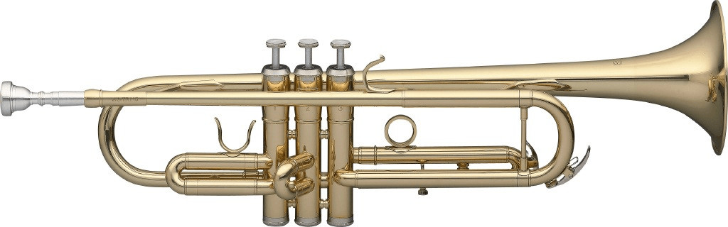 Stagg WS-TR115