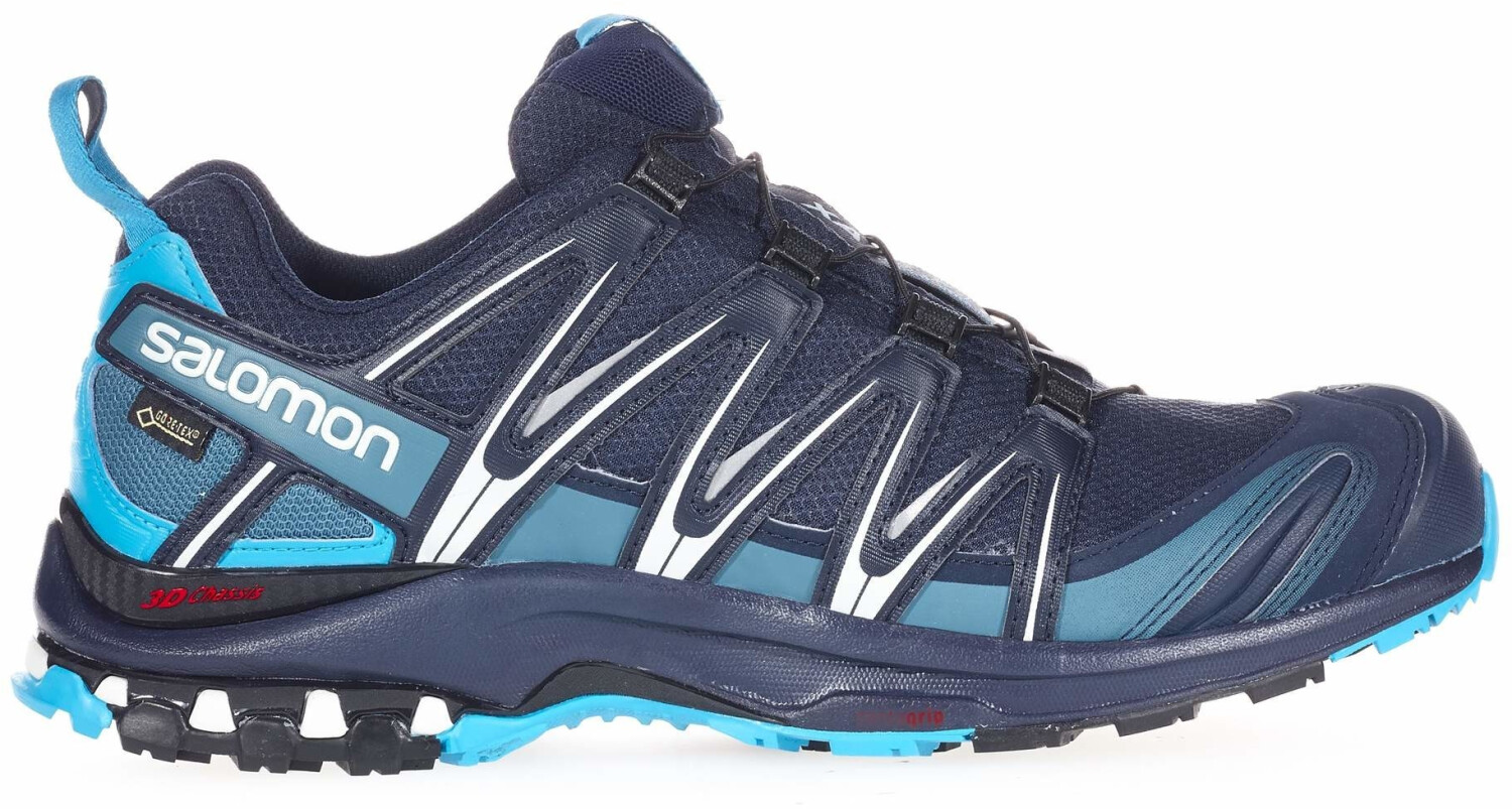 Salomon XA Pro 3D GTX, Zapatillas de Trail Running para Hombre, Azul  (Lyons/Blue Navy/Blazer/