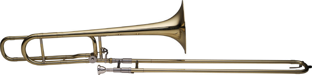 Stagg WS-TB255S