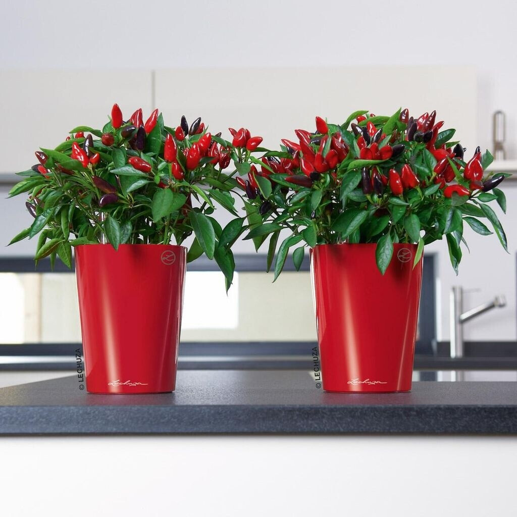 Lechuza Lechuza Mini-Deltini anthracite metallic - view 11