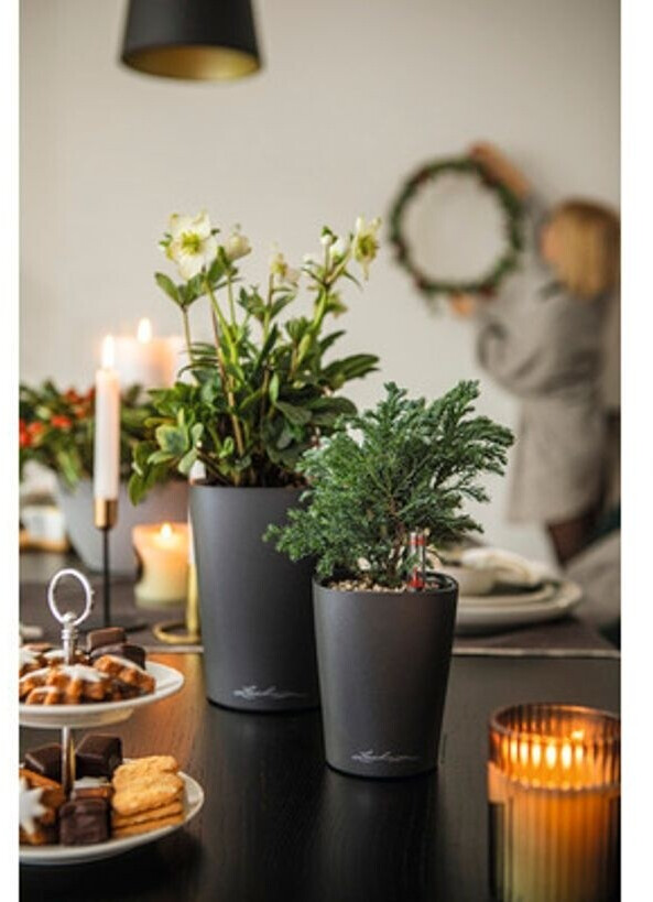 Lechuza Lechuza Mini-Deltini anthracite metallic - view 12