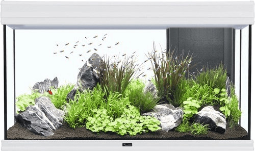 Aquatlantis Fusion 100 sans meuble blanc