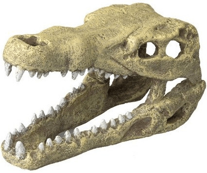 EBI Tête de crocodile Aqua Della 19,5 x 9,5 x 10,5 cm