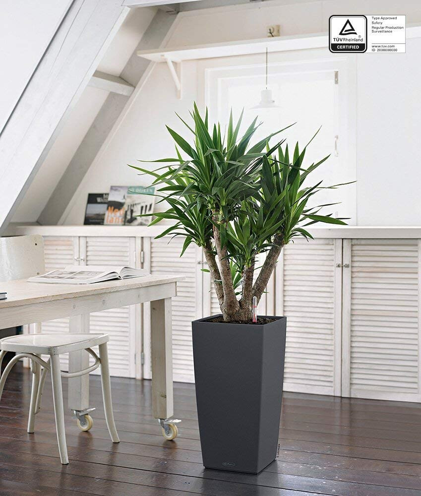 Lechuza Cubico Color 30 All-in-One Set gris