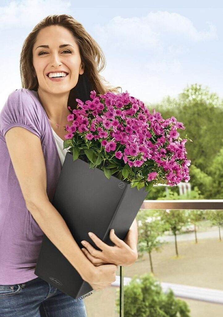 Lechuza Lechuza Cubico Color 40 All-in-One Set nutmeg - view 13