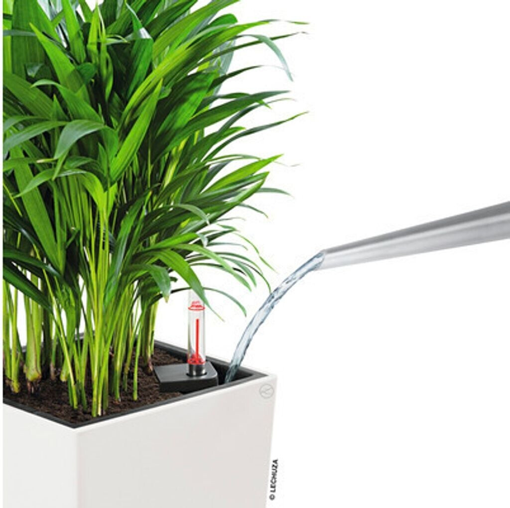 Lechuza Lechuza Cubico Color 40 All-in-One Set nutmeg - view 15