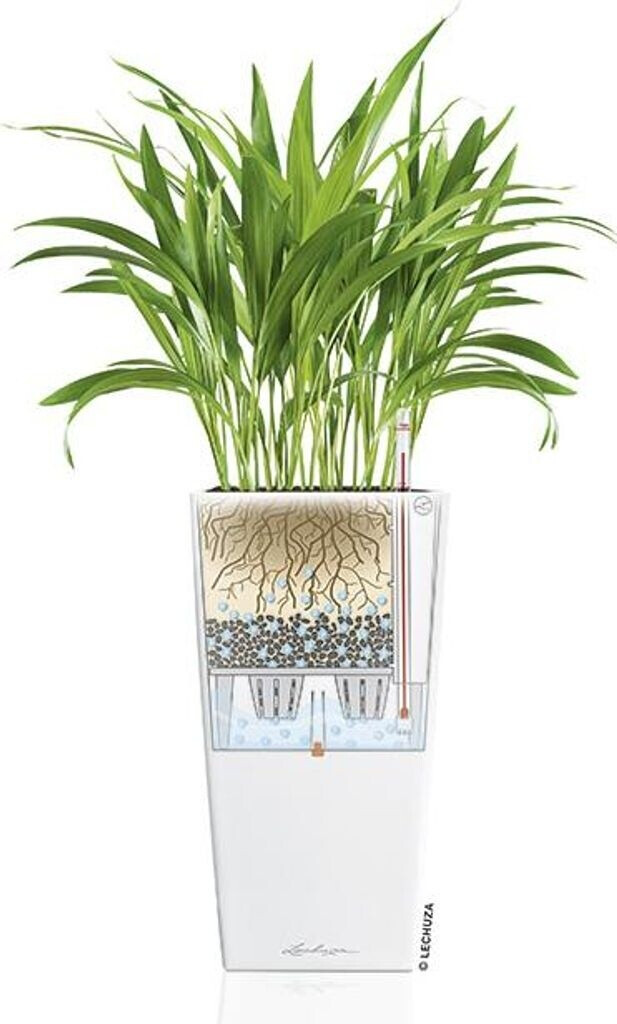 Lechuza Lechuza Cubico Color 40 All-in-One Set nutmeg - view 17