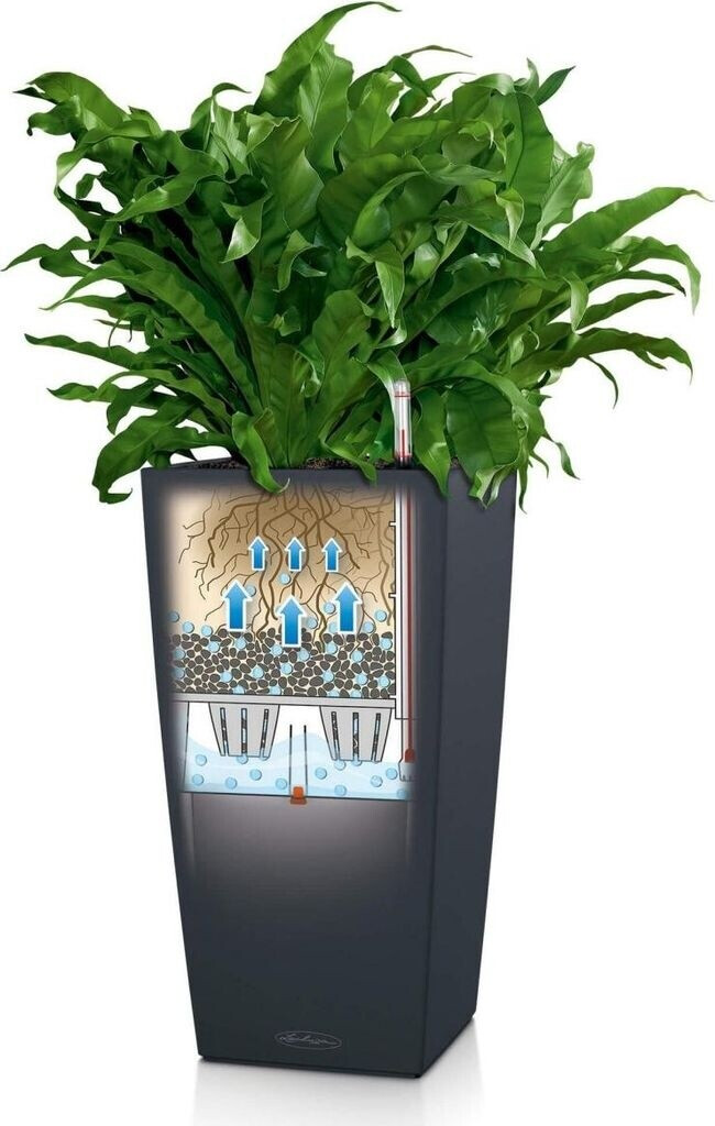 Lechuza Lechuza Cubico Color 40 All-in-One Set nutmeg - view 22