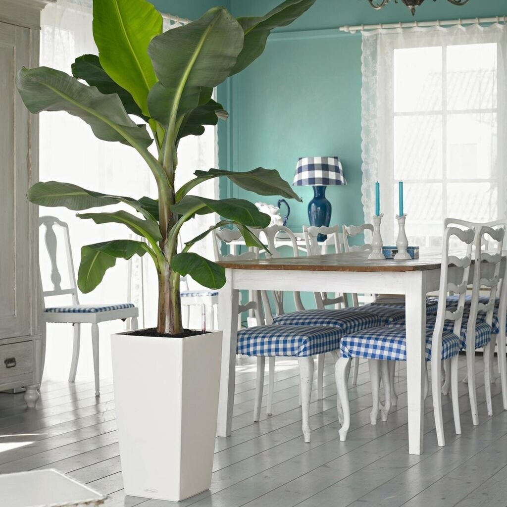 Lechuza Lechuza Cubico Color 40 All-in-One Set nutmeg - view 23