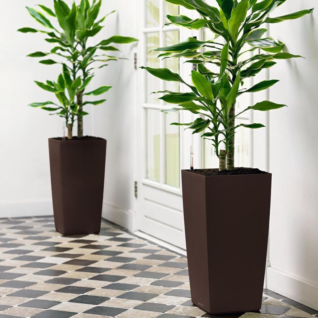 Lechuza Lechuza Cubico Color 40 All-in-One Set nutmeg - view 24