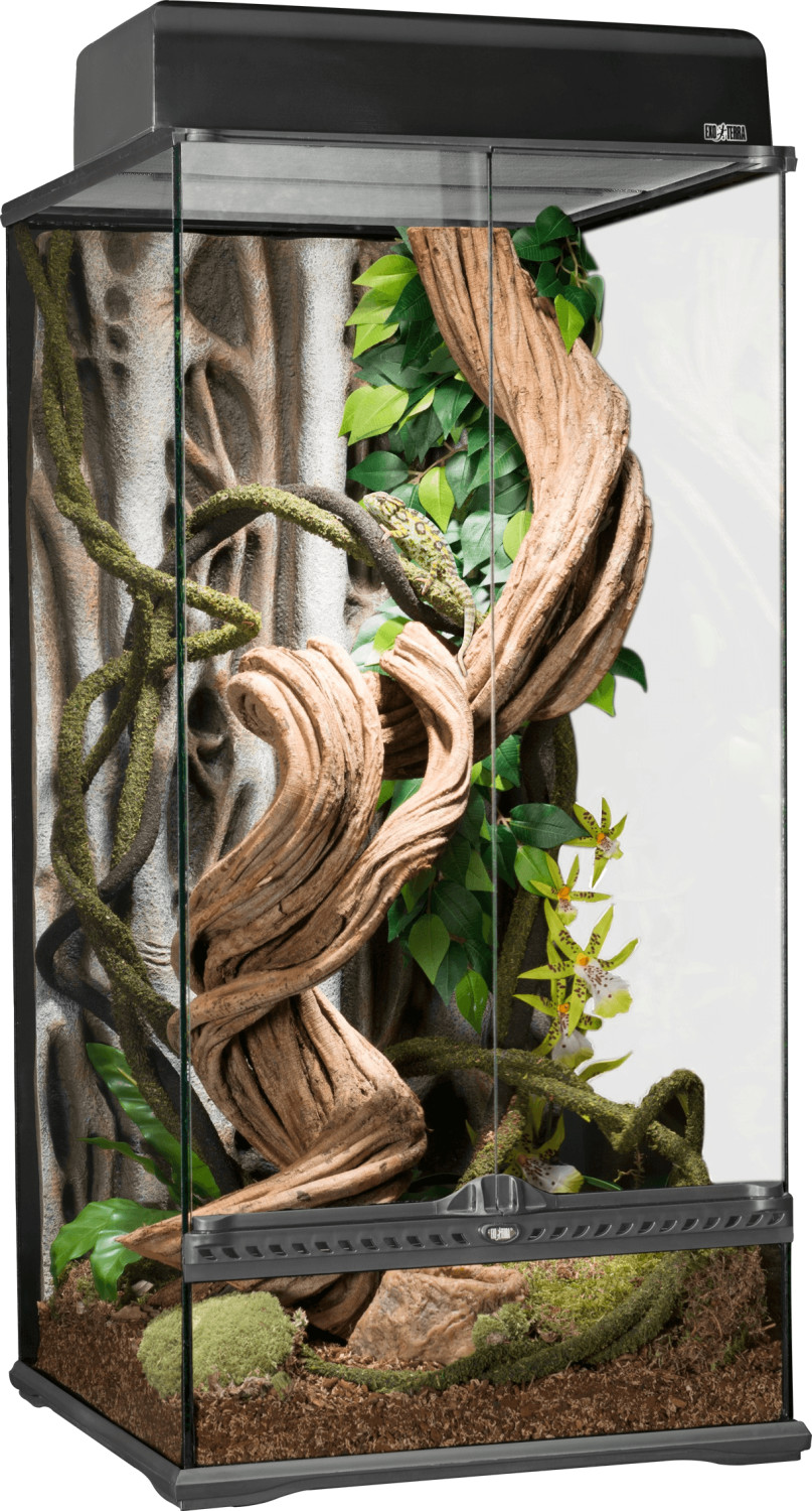 Exo Terra Rainforest Terrarium Small/X-Tall 45 x 45 x 90 cm (PT2606)