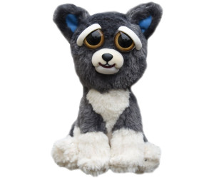 Feisty clearance pets dog