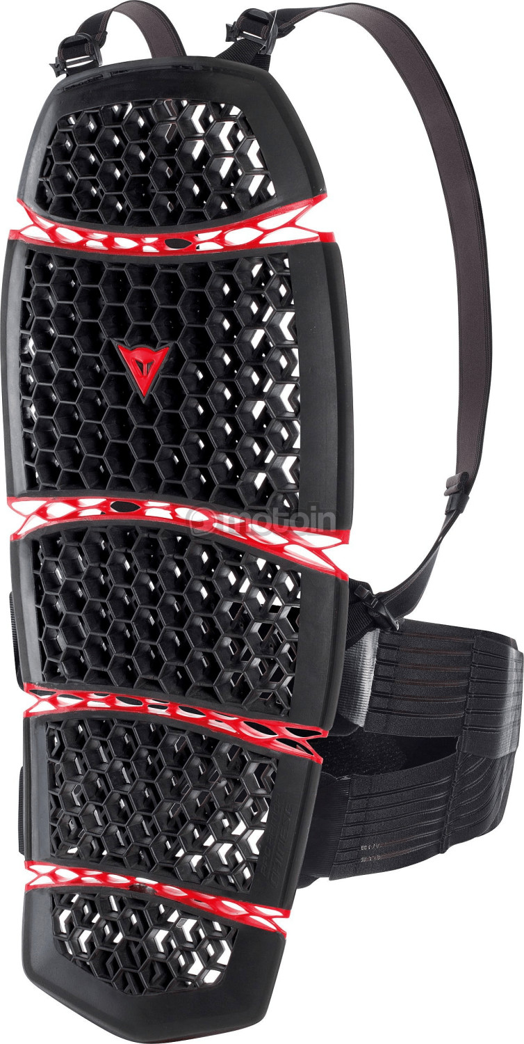 Dainese Pro-Armor back protector
