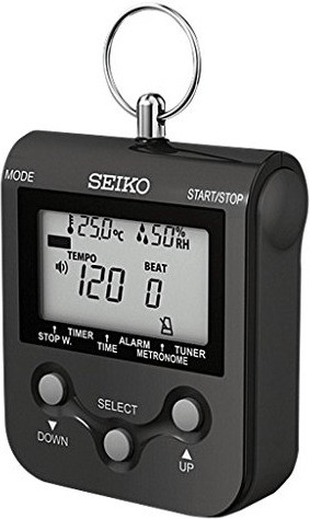 Seiko Instruments DM90