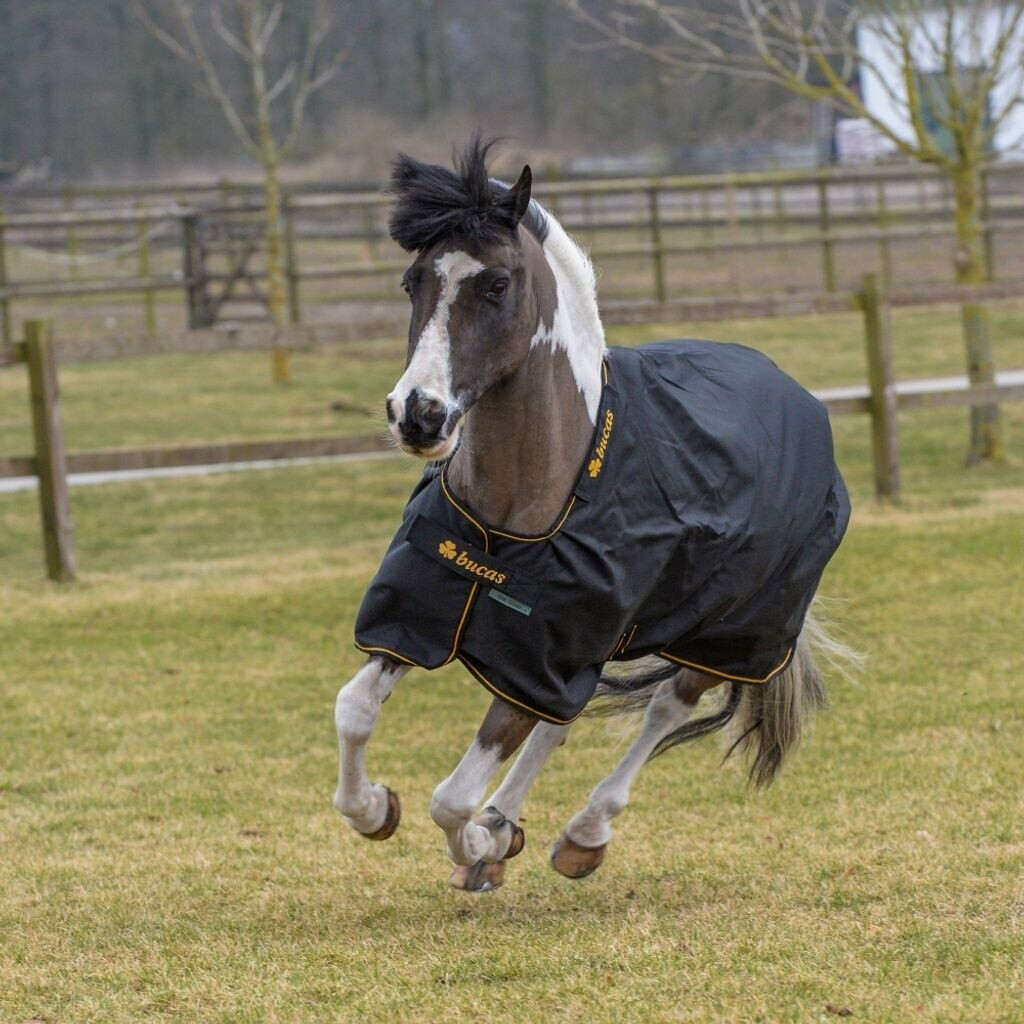 Bucas Irish Turnout Light 50g 115cm Black/Gold