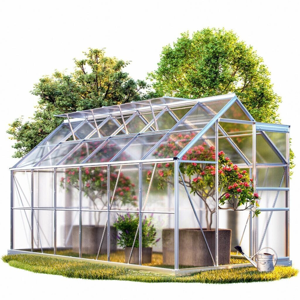 Deuba Serre de jardin 380 x 190 cm