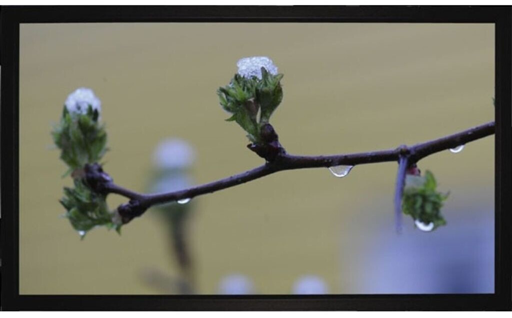 MEDIUM Frame 240x180