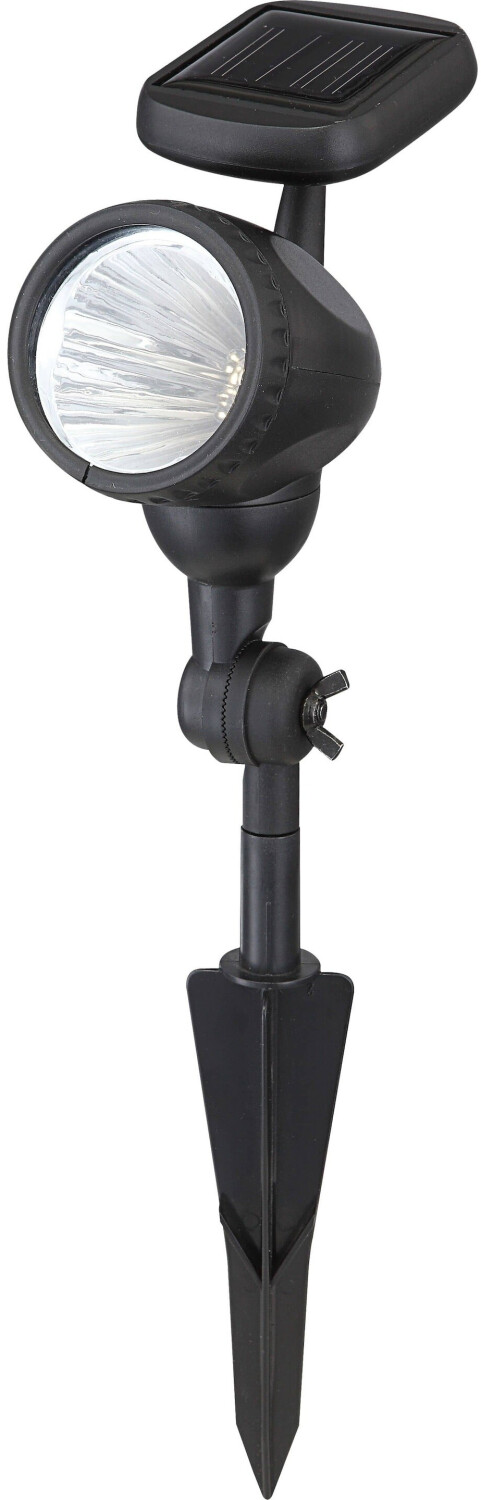 Globo 33026