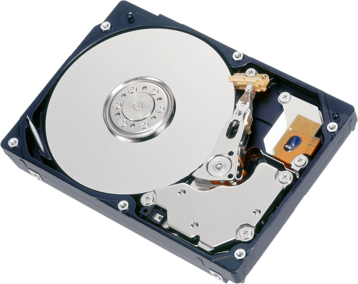 Fujitsu SAS Hot-Swap 900 Go (S26361-F5550-L990)