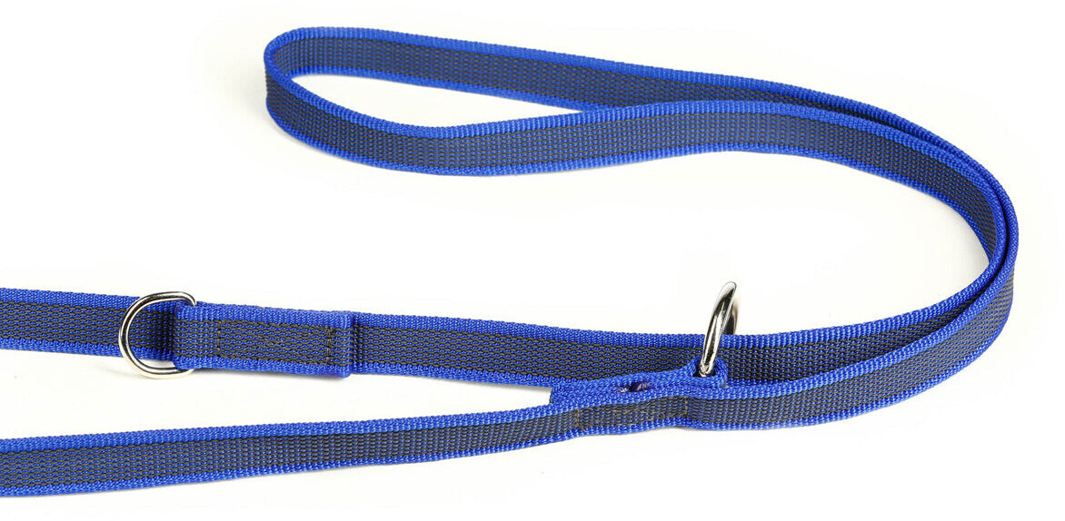 Julius K-9 Laisse classique pour chien 10m 20mm blau Julius K-9 Laisse classique pour chien 10m 20mm blau